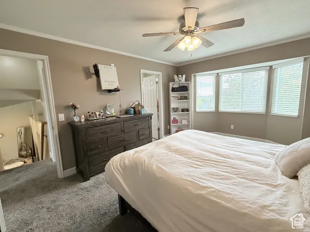 Bay window featuring horizontal blinds, neutral wall paint, and a ceiling-mounted light fixture with a fan