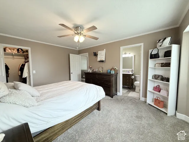 Neutral-toned room featuring wall-to-wall carpeting, a ceiling fan with integrated light fixture, a walk-in closet, and an en-suite bathroom