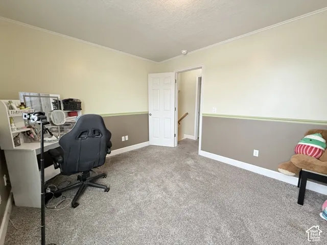 Neutral wall paint, two-tone wall finish with chair rail molding, six-panel interior door, and carpeted flooring