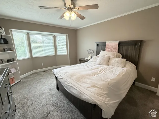 Bay window featuring three individual window panels, wall-to-wall carpeting, ceiling fan with integrated lighting, and built-in white shelving