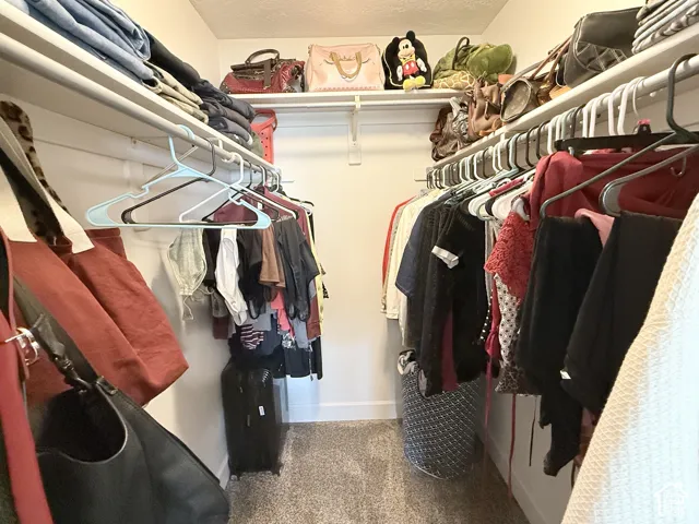Walk-in closet featuring dual-level wire shelving and wall-to-wall carpeting