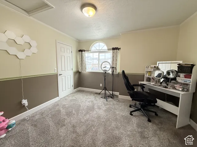 Room featuring plush wall-to-wall carpeting, two-toned wall paint with a chair rail, and a window topped with a semi-circular transom
