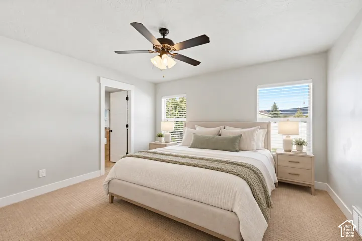 Neutral wall paint, plush carpeting, ceiling fan with integrated lighting, and dual windows with blinds