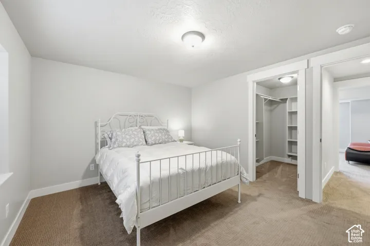 Neutral-toned interior featuring wall-to-wall carpeting, overhead flush-mount lighting, and a walk-in closet with built-in shelving