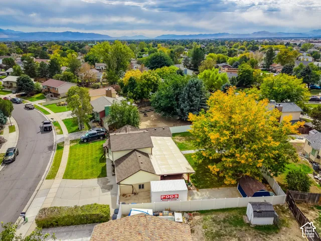 Expansive suburban setting featuring a large lot, mature trees, concrete driveway, and a white fence