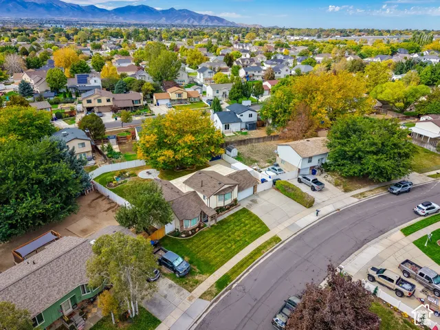Established residential street featuring mature landscaping and a mountain backdrop