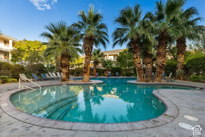 Pool: One of four resort-style pools, lined with palms and lounge chairs.