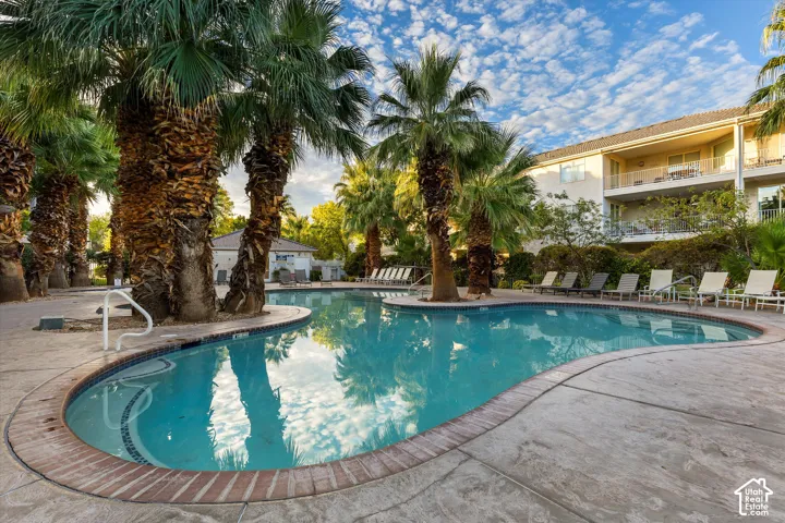 Pool: Palms reflected in a resort-style pool, with plenty of lounge seating.