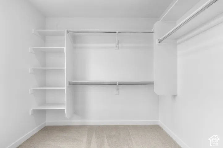 Walk-in closet featuring white built-in shelving, dual-tier hanging rods, and neutral carpeted flooring