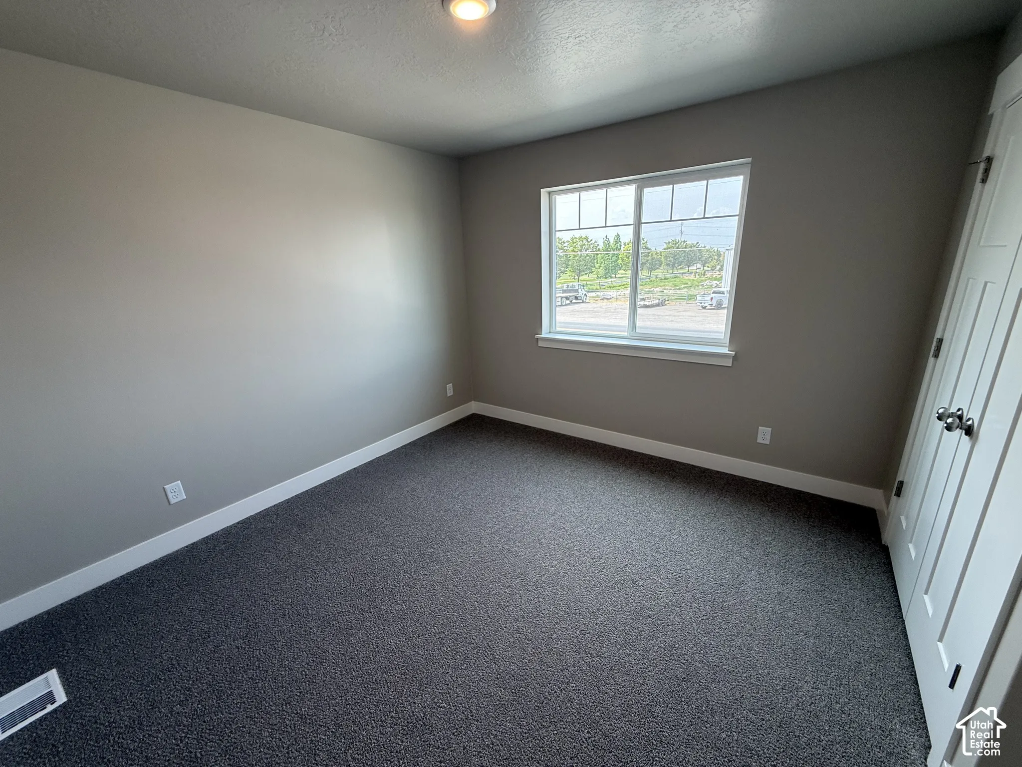 Neutral-toned room featuring dark carpeting, a single-hung window with a grid pattern, and a paneled closet door