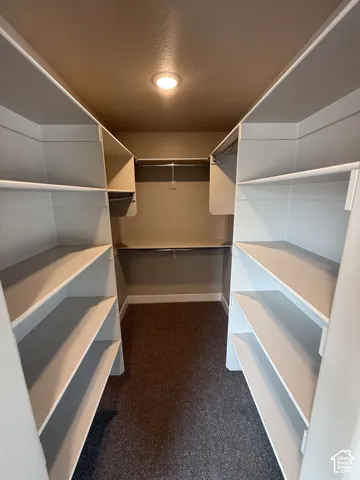 Walk-in closet featuring white built-in shelving, integrated hanging rods, recessed ceiling lighting, and carpeted flooring