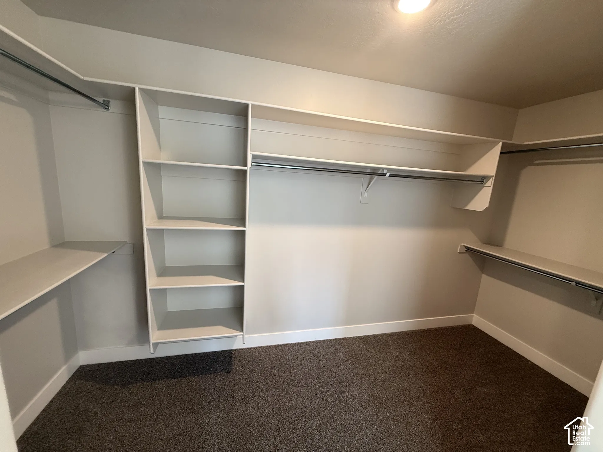 Walk-in closet featuring white built-in shelving, integrated hanging rods, and neutral carpeting