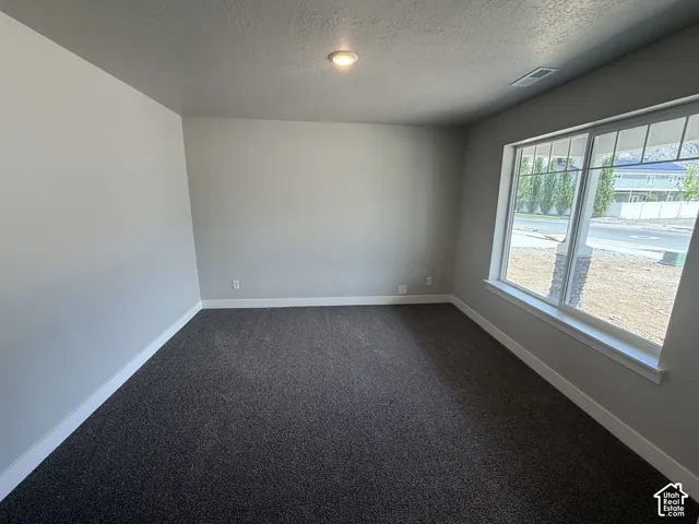 Neutral-toned interior space featuring dark wall-to-wall carpeting, expansive windows with grid detailing, and recessed ceiling lighting