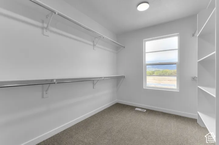 Storage space featuring tiered metal shelving, built-in vertical shelving units, neutral carpeting, and a single-pane window with mountain scenery