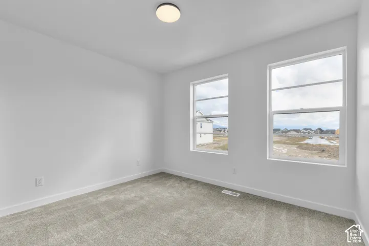 Neutral-toned carpeting, dual windows, and a central flush-mount ceiling fixture