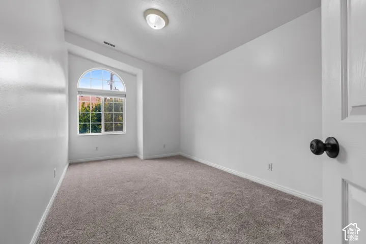 Interior room featuring neutral carpeting, a vaulted ceiling, an arched window with muntins, and a flush-mount light fixture