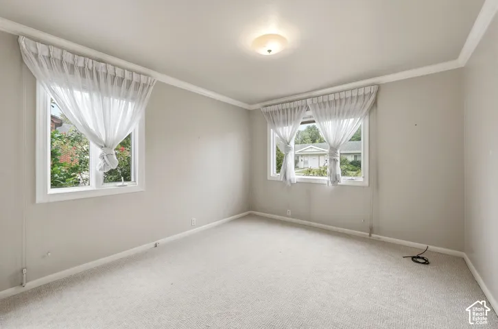 Neutral-toned room featuring neutral carpeting, crown molding, and two windows with white trim