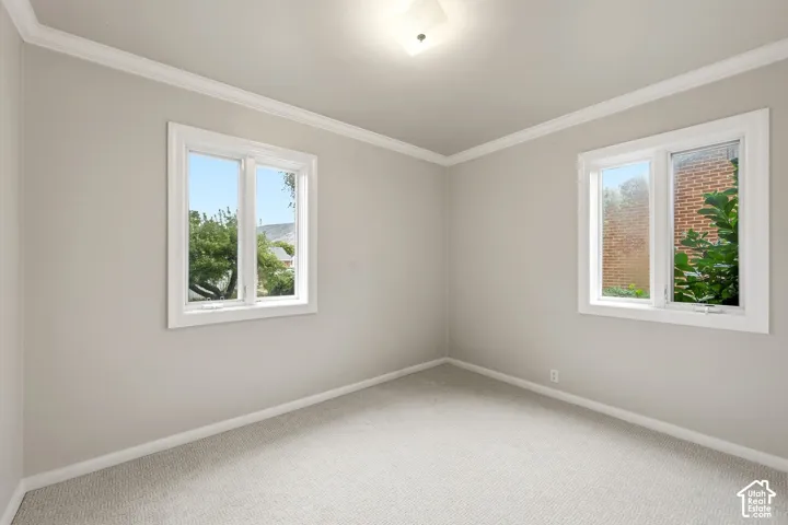 Interior space featuring neutral-toned wall paint, crown molding, wall-to-wall carpeting, and dual windows with white trim