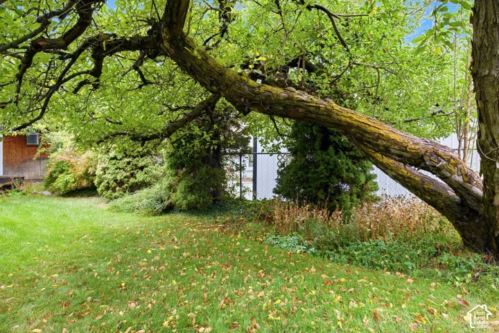 Backyard featuring mature trees, a manicured lawn, established landscaping, and perimeter chain-link fencing