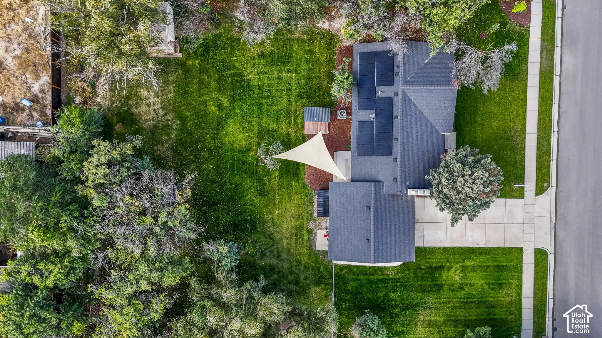 Pitched roof residence featuring solar panels, concrete driveway, and a spacious backyard with mature trees