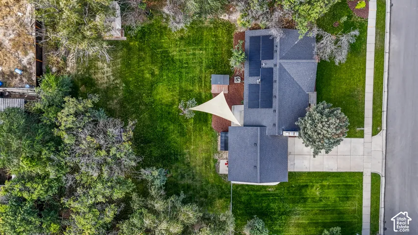 Pitched roof residence featuring solar panels, concrete driveway, and a spacious backyard with mature trees
