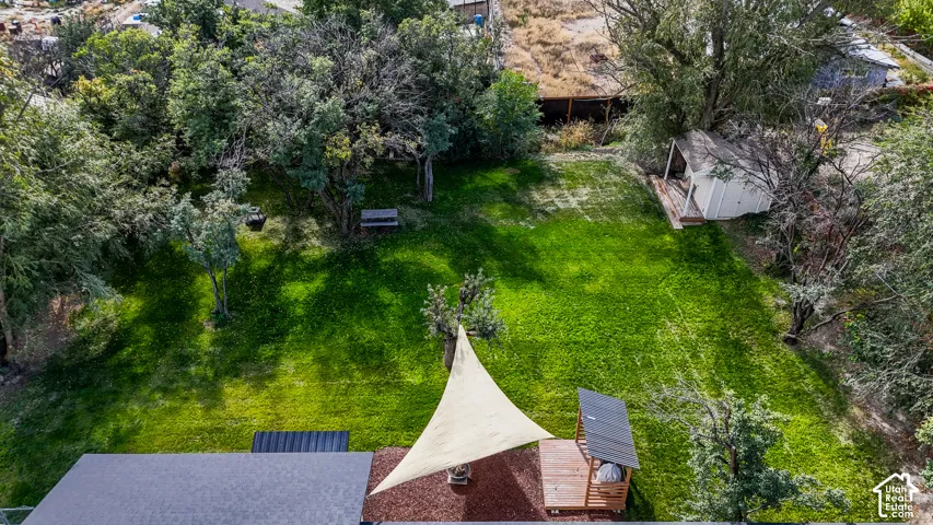 Expansive backyard featuring a manicured lawn, mature trees, and a shaded outdoor structure