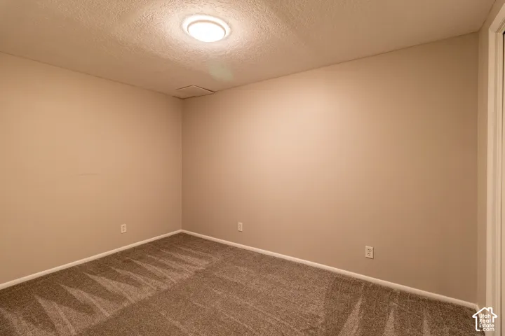 Wall-to-wall carpeting with a neutral palette