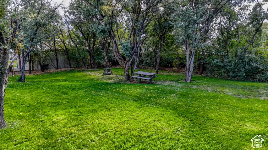 Expansive grassy area with mature trees and a wooden picnic table