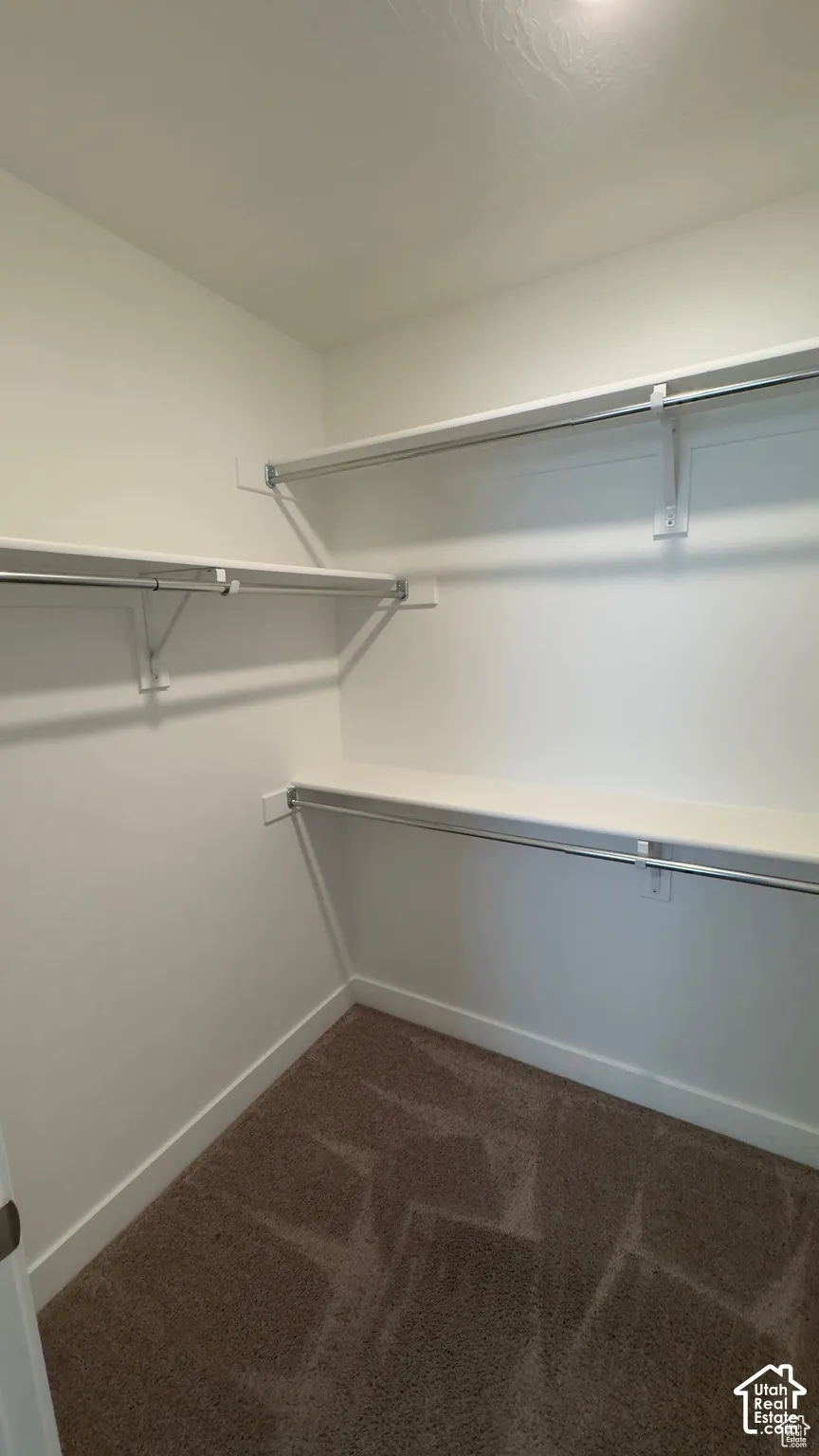 White walls with overhead lighting, multiple shelving units, and carpet flooring