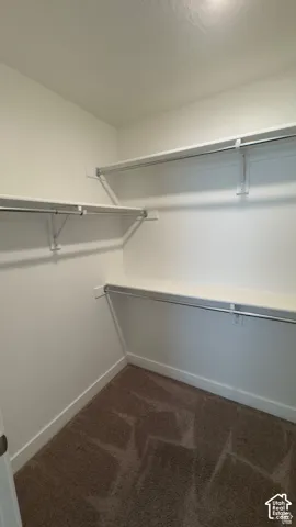 White walls with overhead lighting, multiple shelving units, and carpet flooring