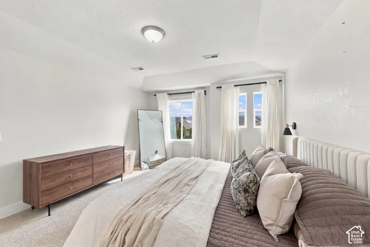 Neutral-toned bedroom featuring a tray ceiling, plush wall-to-wall carpeting, and double-pane sliding windows