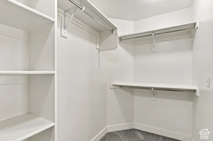 Primary walk in closet. Built-in shelving, multiple hanging rods, white walls, and gray carpet flooring