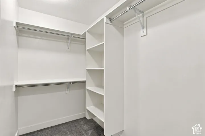 Primary Walk-in closet featuring built-in shelving, dual hanging rods, and a carpeted floor