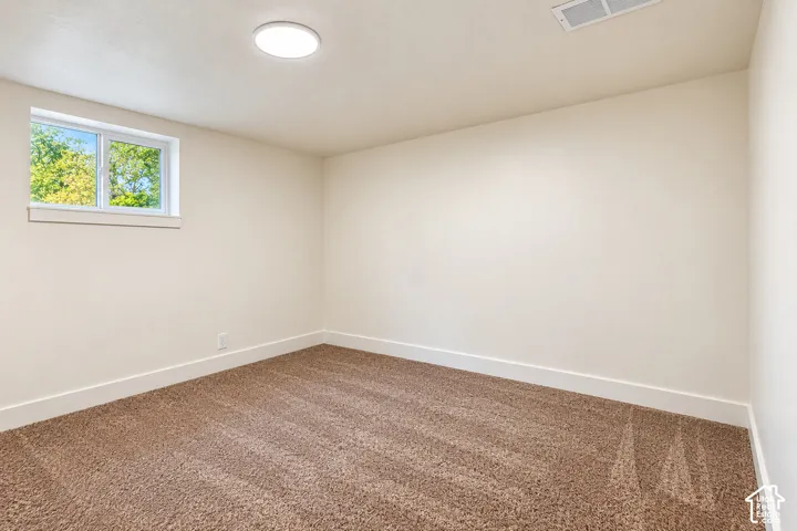Neutral wall finishes, plush carpeting, a single-pane sliding window, and a ceiling-mounted flush-mount light fixture