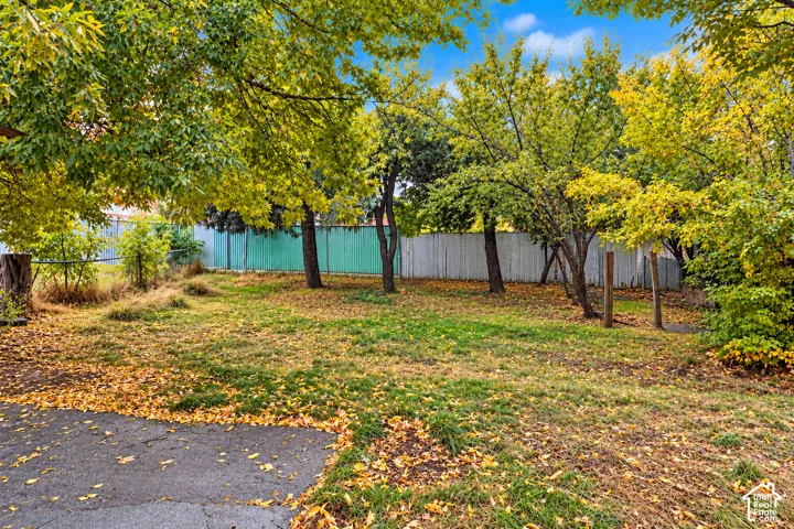 Expansive backyard featuring mature deciduous trees, a grass lawn, and perimeter fencing