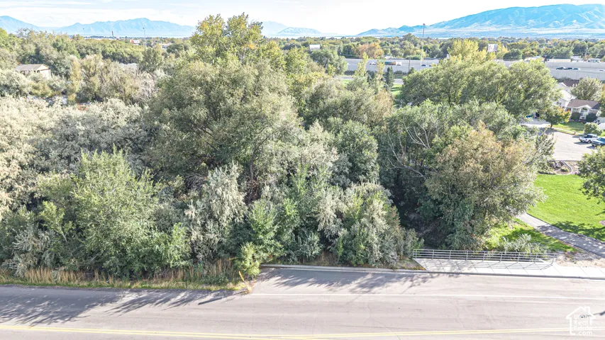 Expansive lot featuring mature trees, established vegetation, mountain scenery, and a metal perimeter gate