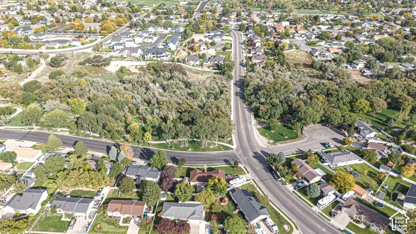 Aerial perspective featuring mature trees, established residential streets, and extensive local greenery