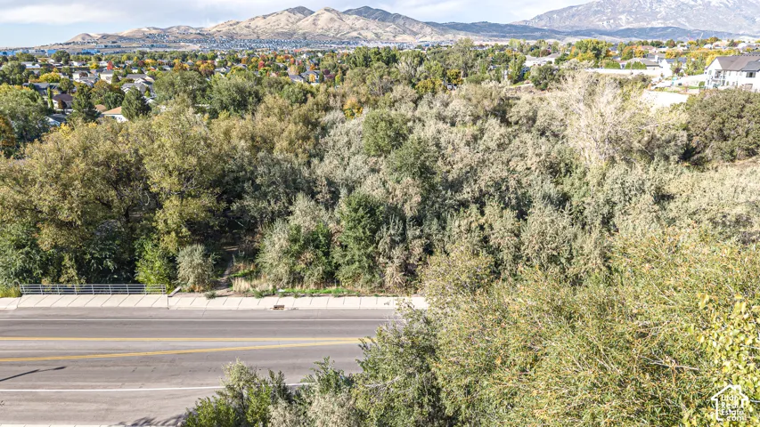Expansive natural landscape with mature vegetation and mountain backdrop