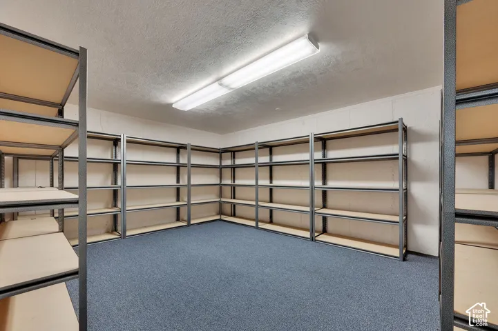 Storage room featuring built-in industrial-style metal shelving units, high-output overhead fluorescent lighting, and wall-to-wall carpeting