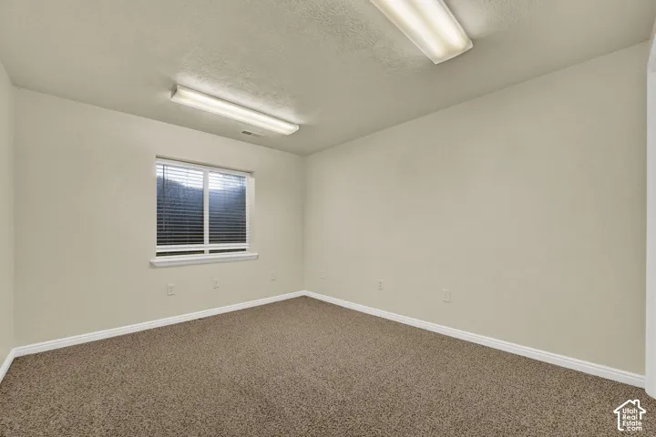 Neutral-toned interior space featuring textured wall finishes, wall-to-wall carpeting, and dual flush-mounted ceiling light fixtures