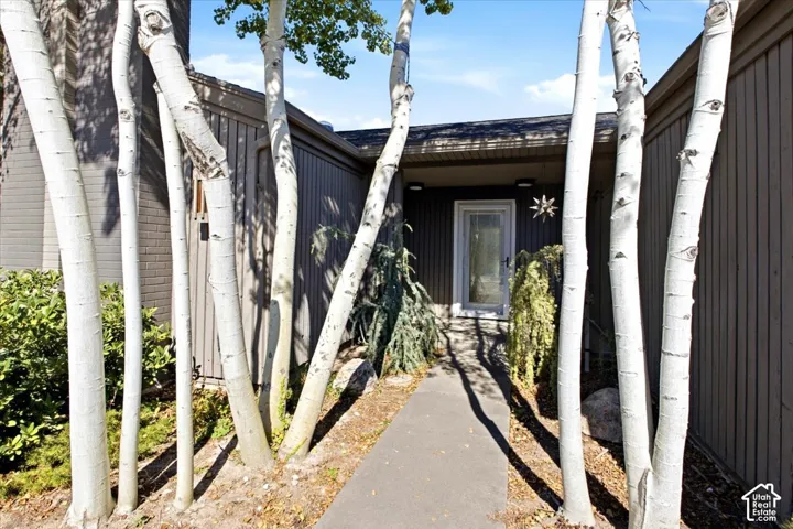 Exterior entry featuring vertical wood siding, brick masonry, a concrete walkway, and mature birch trees