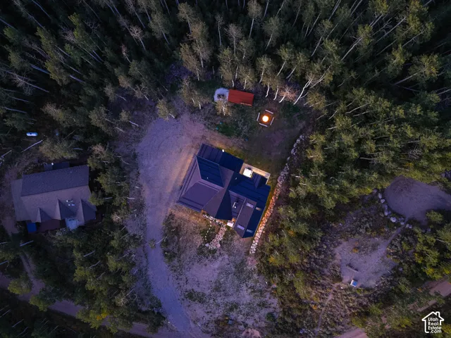 Expansive forested property with a contemporary roofline, integrated skylights, and outdoor fire pit