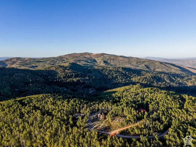 Mountainous terrain with dense tree coverage and a clear sky