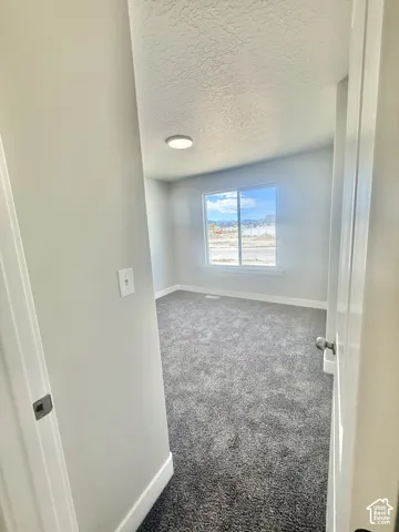 Neutral-toned room featuring plush wall-to-wall carpeting, a sliding window with mountain scenery, and a ceiling-mounted light fixture