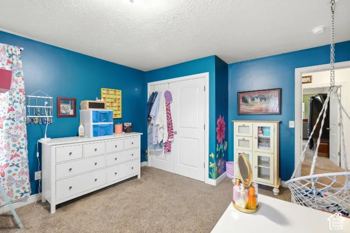 Interior room featuring carpeting, dual-panel closet doors, and painted walls