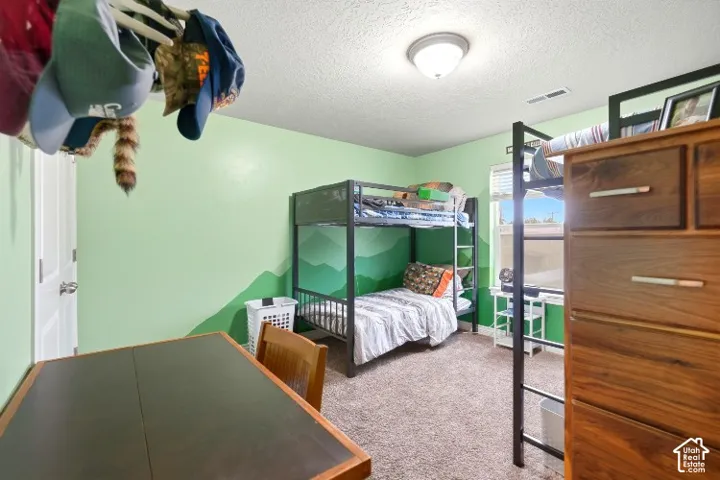 Room featuring neutral wall-to-wall carpeting, a standard flush-mount ceiling light fixture, and a window with horizontal blinds