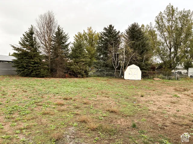 Expansive backyard featuring mature evergreen trees, chain-link fencing, and a detached storage shed