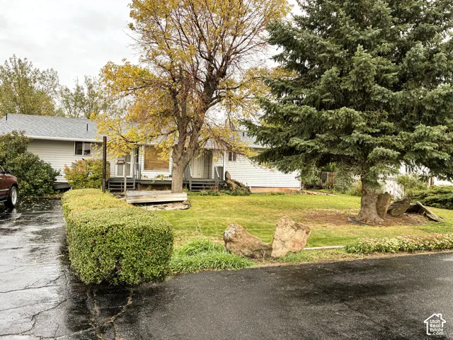 Exterior featuring horizontal siding, asphalt shingle roofing, mature evergreen and deciduous trees, manicured lawn, and decorative rock landscape elements