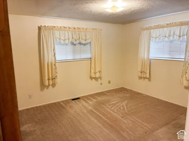 Neutral-toned room featuring wall-to-wall carpeting, dual windows, and a flush-mount ceiling light fixture