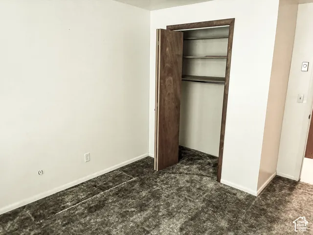 Interior space featuring carpeting and a closet with built-in shelving and wood-finish doors